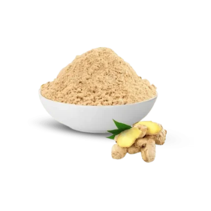 আদা গুঁড়া || Ginger Powder